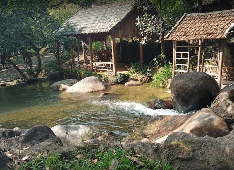 Explore Da Nang Flower Stream - Poetic beauty that captivates people's hearts