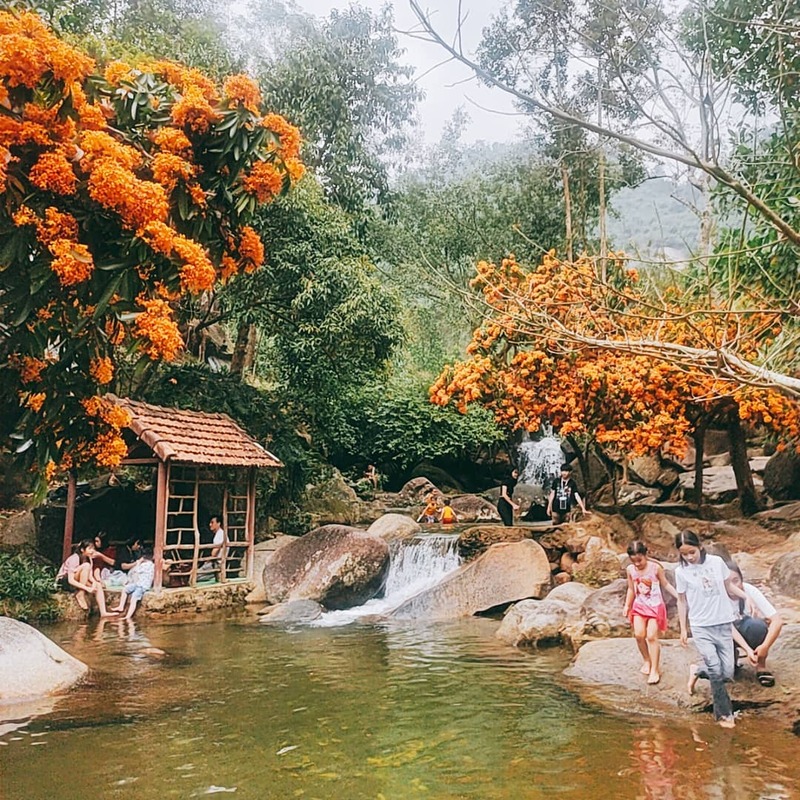 Explore Da Nang Flower Stream - Poetic beauty that captivates people's hearts