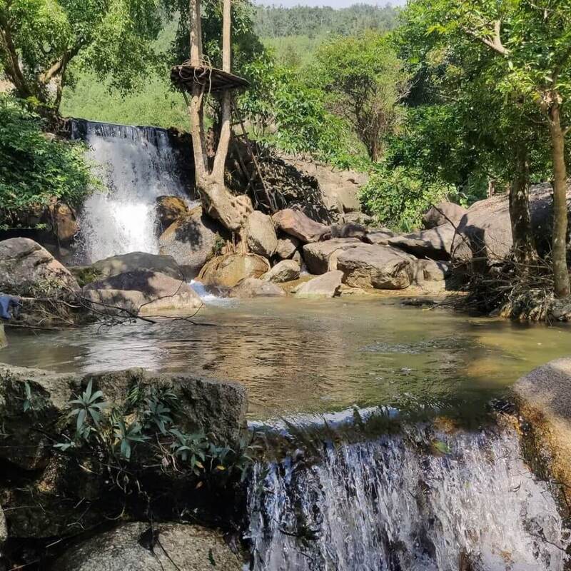 Explore Da Nang Flower Stream - Poetic beauty that captivates people's hearts