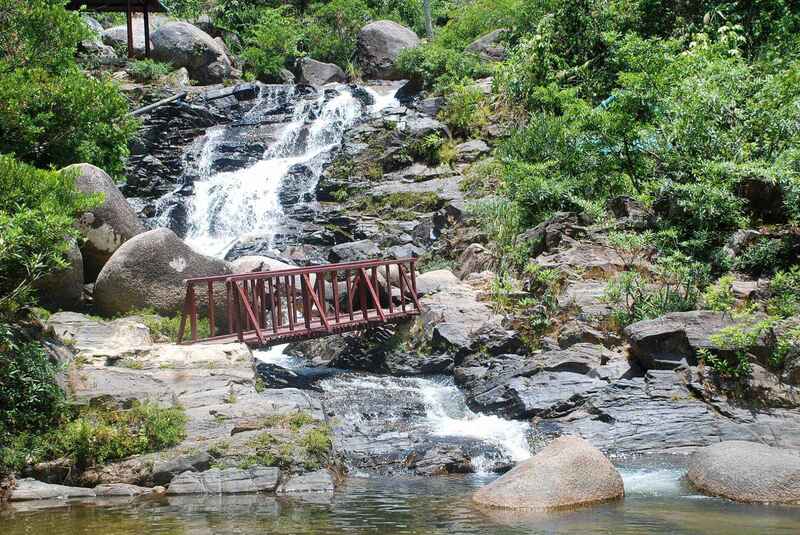 Explore Da Nang Flower Stream - Poetic beauty that captivates people's hearts