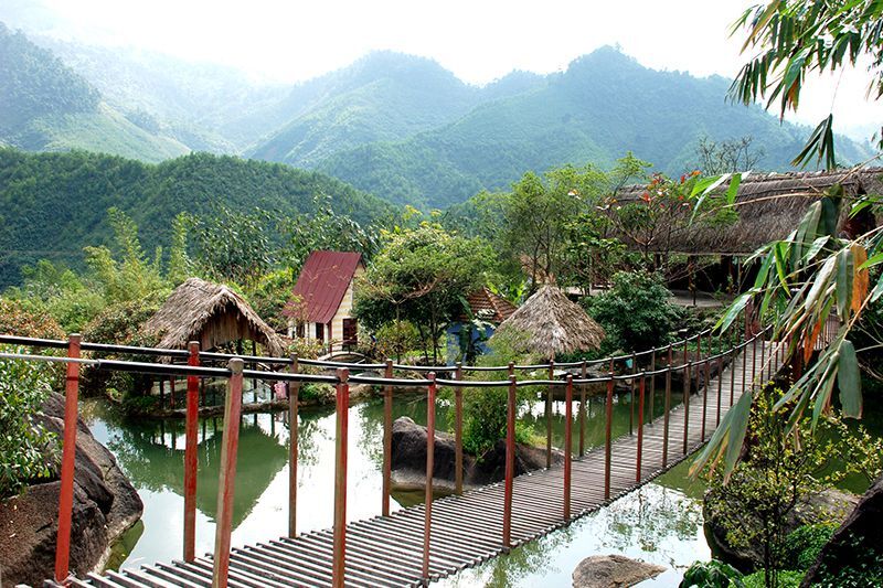 Explore Da Nang Flower Stream - Poetic beauty that captivates people's hearts