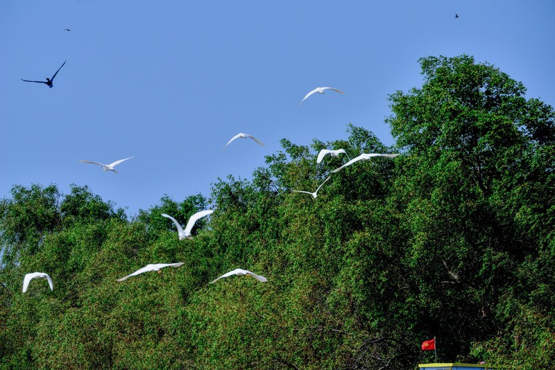 Discover the complete and extremely detailed Ben Tre travel experience