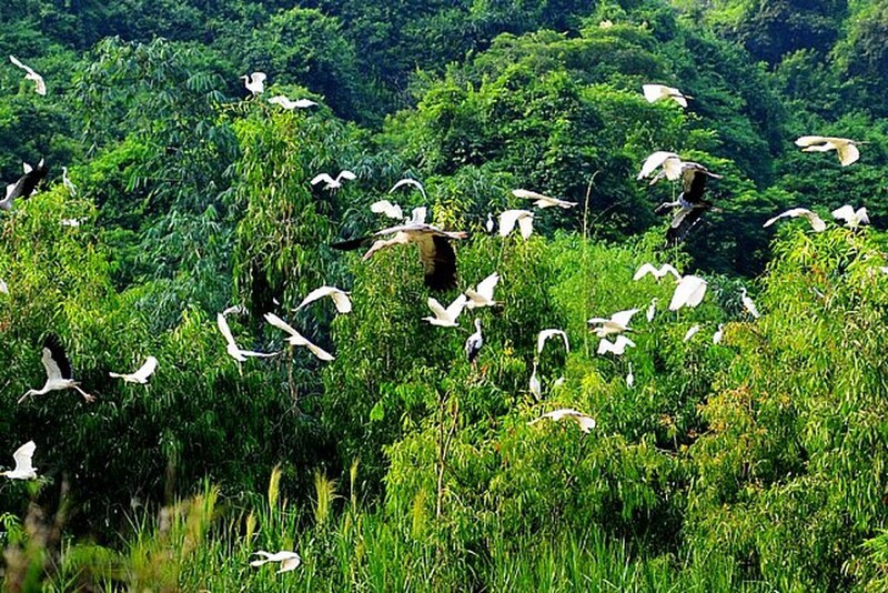 Be fascinated by 14 beautiful Bac Lieu tourist destinations that thousands of people love