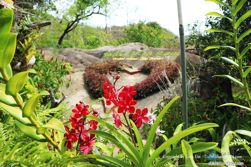 Hoa Lan Stream Tourist Area - A tourist paradise as beautiful as a fairy garden