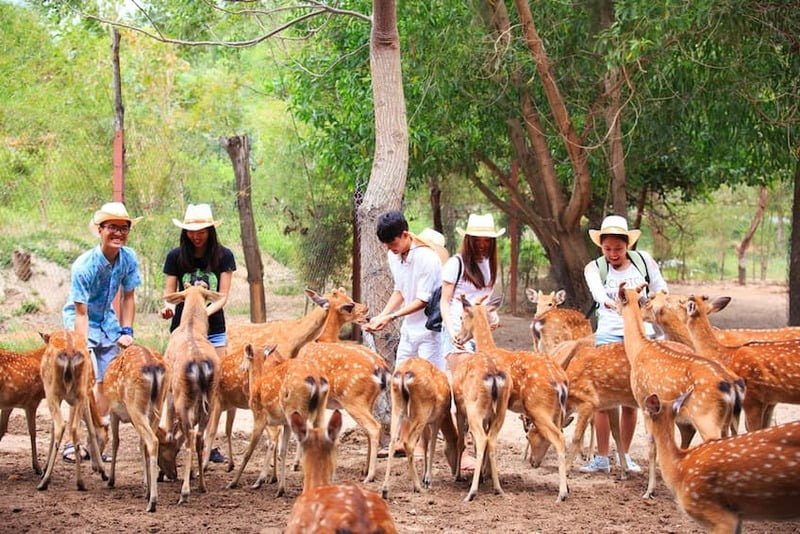 Hoa Lan Stream Tourist Area - A tourist paradise as beautiful as a fairy garden