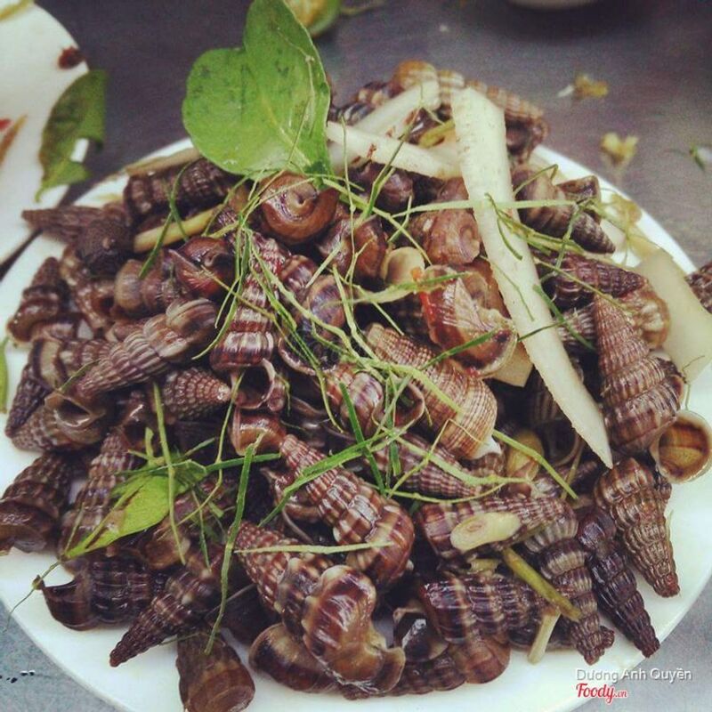 Top 10 attractive and affordable Hai Phong snail restaurants you must try